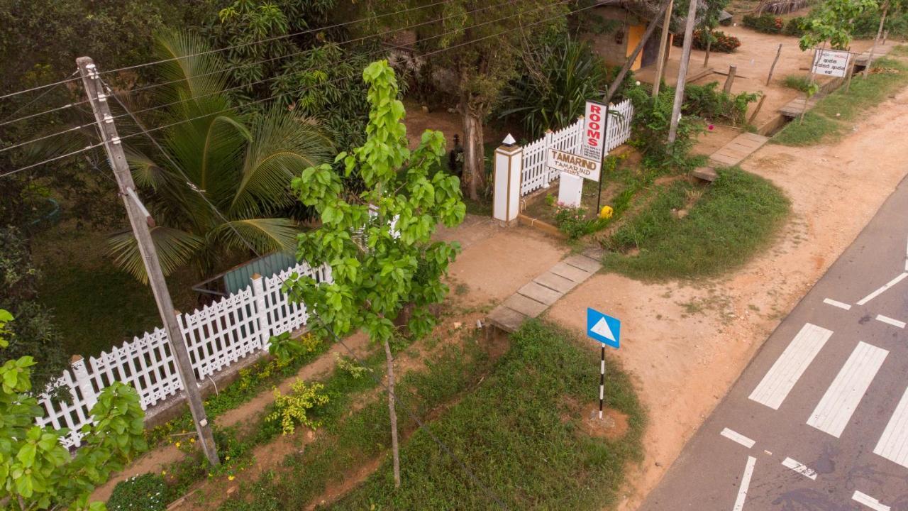 Tamarind Tamarind Resort, Tourist Board Approved Habarana Exterior foto